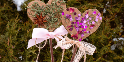 Blog-Post-Picture-Dimensions-1