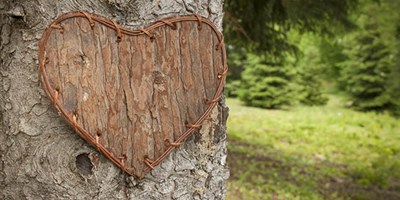 nature heart-carousel